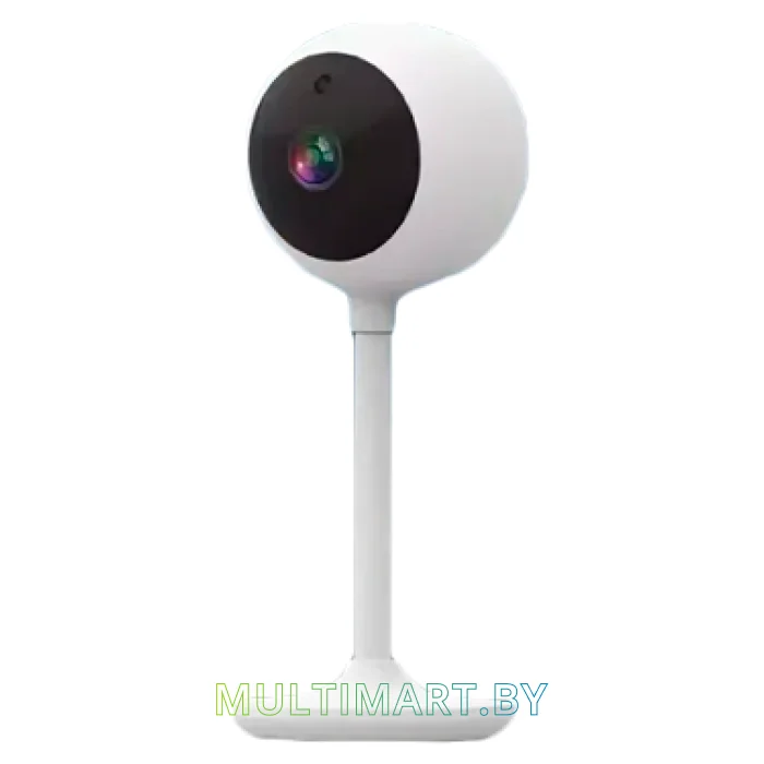 IP-камера Falcon Eye Spaik 2
